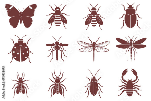 a collection of illustrated insects, including a butterfly, bee, beetle, dragonfly, spider, and scorpion, all in a minimalist, technical, anatomical style