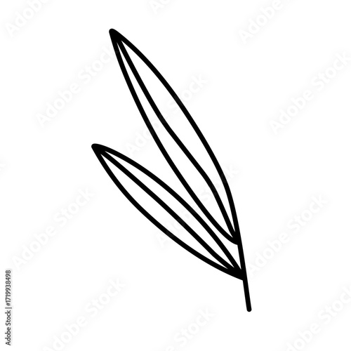 ayurvedic icon vector