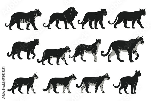 A collection of isolated black vector silhouettes of wild and farm animals, panthers, big cats, feline silhouettes, wildlife, nature, black and white, minimalist, vector illustration