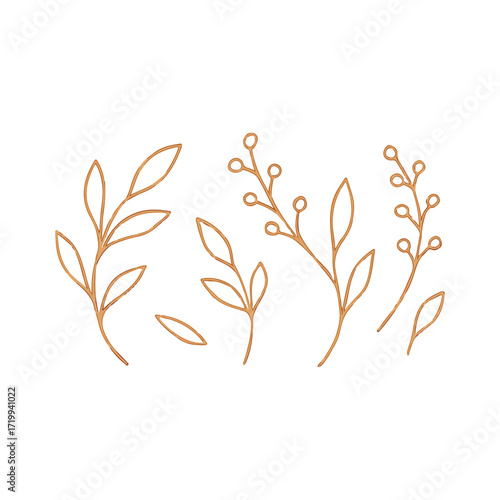 Floral Branch Line Art Leaf Botanical Illustration Vector