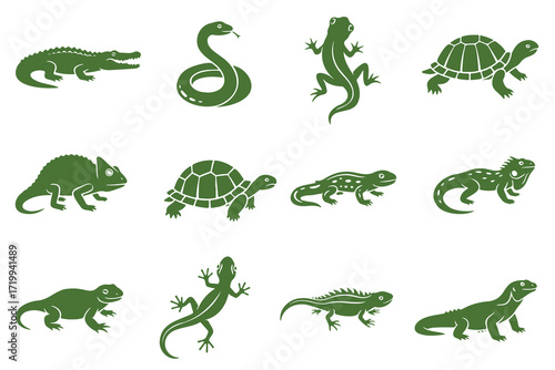 reptile, lizard, snake, iguana, gecko, crocodile, alligator, turtle, chameleon, salamander, newt, frog, toad, green, scales, pattern, wildlife, animal, nature, illustration, icon