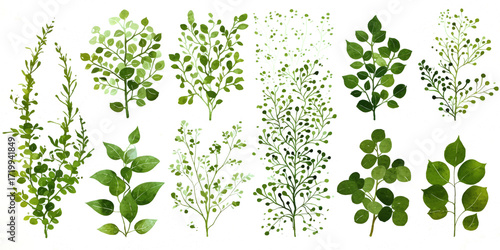 Gold glitter stars scattered on white background