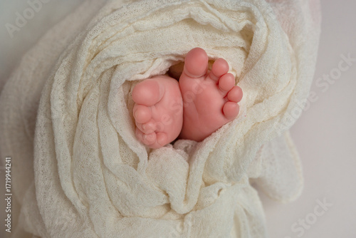 Tiny Newborn Feet in Soft Blanket