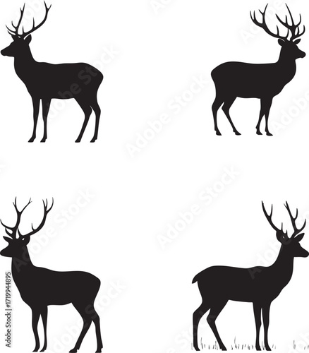 Four majestic deer silhouettes in black and white