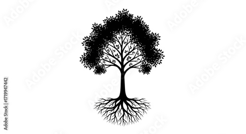 A stylized black silhouette of a tree, showcasing its full form from crown to extensive roots against a white background.
