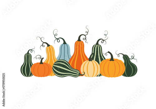 A vibrant assortment of various gourds and pumpkins arranged in a pleasing composition.