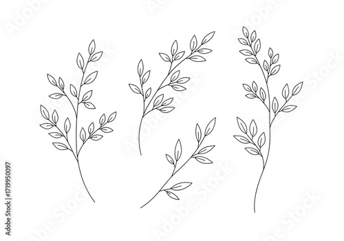 Delicate hand drawn botanical illustration of three elegant leafy branches perfect for rustic wedding invitations and natural decor.