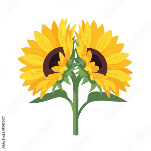 Symmetrical illustration of two bright yellow sunflowers on a single stem against a white background.