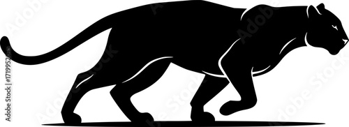Panther silhouette in low crouching hunting position stalking prey wild feline predator animal