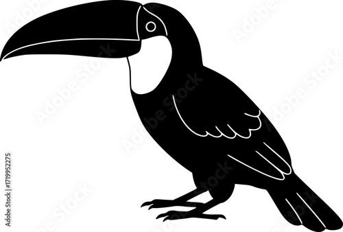 Toucan bird silhouette with large curved beak perched standing tropical exotic wildlife animal