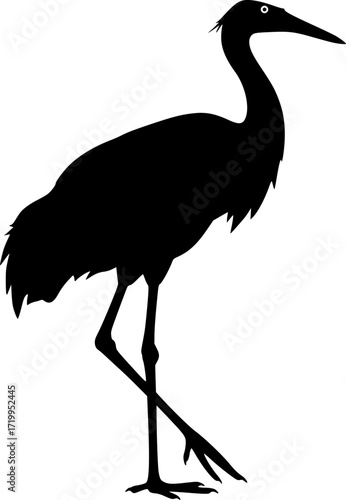 Crane bird silhouette standing on long legs with elegant neck and feathered body wading bird design