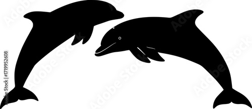 Two dolphins jumping in arc formation with smooth bodies and fins marine mammals leaping pair