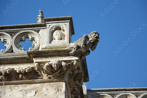 Gargoyle e Dettagli Architettonici Gotici sotto un Cielo Blu
