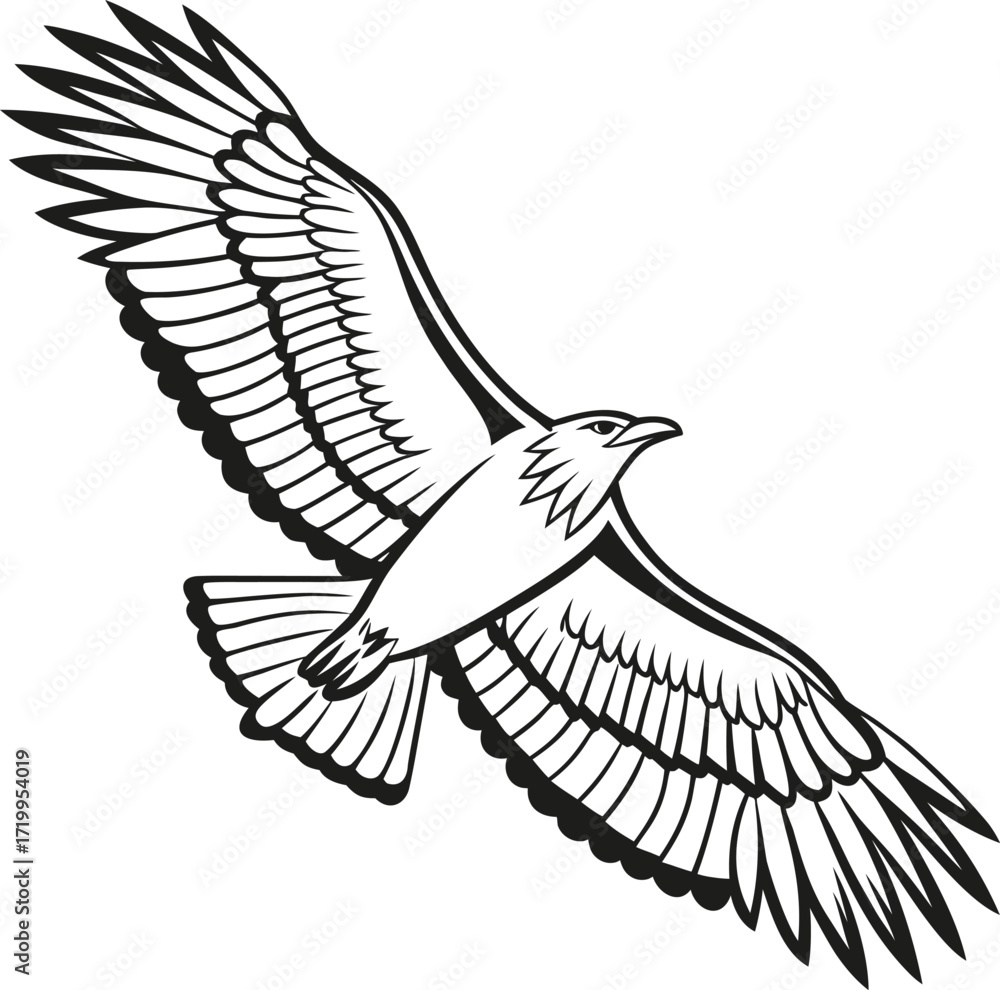 Obraz premium Black and white graphic illustration of an eagle in flight with wings spread wide
