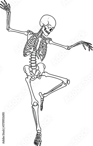 Dancing skeleton illustration on a white background art