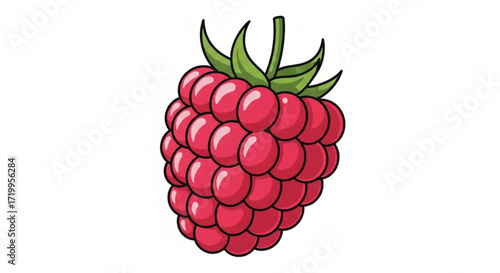 Illustration of a raspberry the raspberry is red and has green leaves on top the raspberry is a healthy fruit