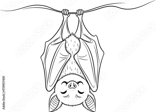 Line art illustration of a bat hanging upside down
