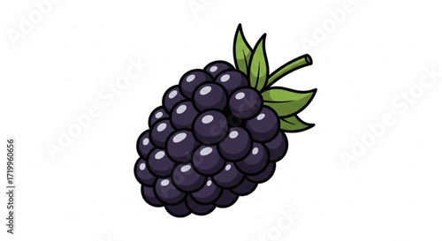 Illustration of a fresh blackberry the blackberry is ripe and juicy, with its dark purple color and green leaves