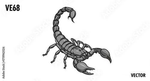 Detailed scorpion, showcasing its menacing claws and segmented tail, a symbol of danger and resilience in the animal kingdom