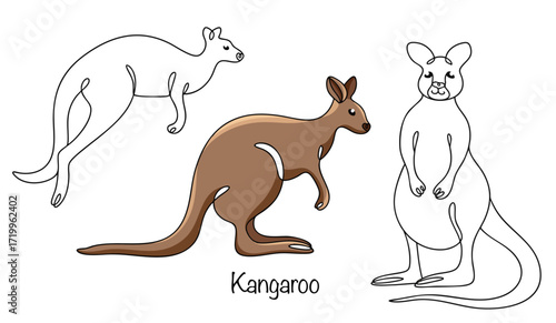 Kangaroo