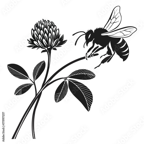 Bee pollinating clover flower silhouette