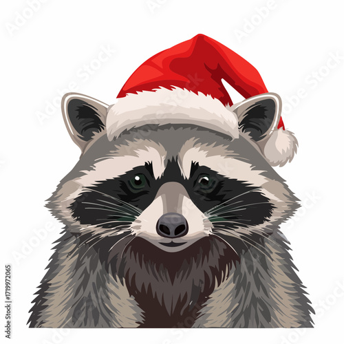 Waschbär mit Weihnachtsmütze