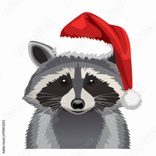 Waschbär mit Weihnachtsmütze