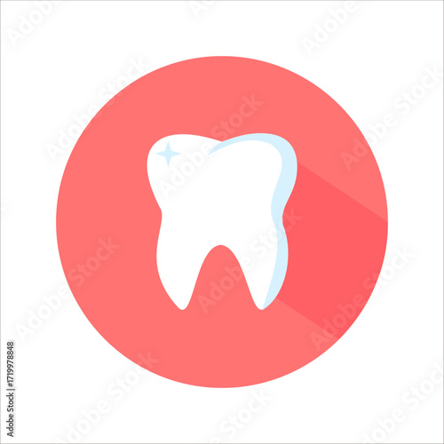 vector image of white teeth