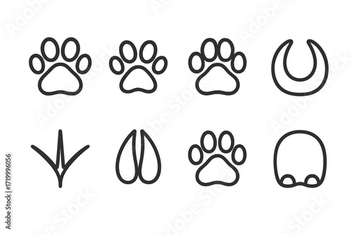 Animal footprint silhouettes on black background with various designs