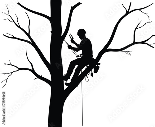 Arborist climbing tree silhouette, tree trimming worker, professional tree care, forestry service, safety gear, rope system, outdoor job, vector illustration, isolated on white background