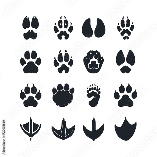Various animal paw footprints silhouette icons, showcasing a diverse collection of paw prints from different species, including mammals and birds.