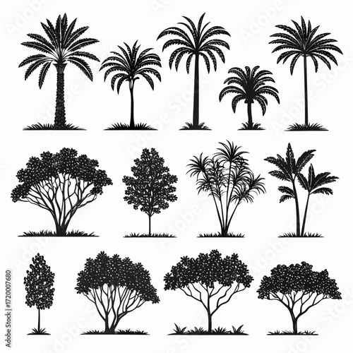 A black vector set of various tropical palm tree silhouettes for your design
