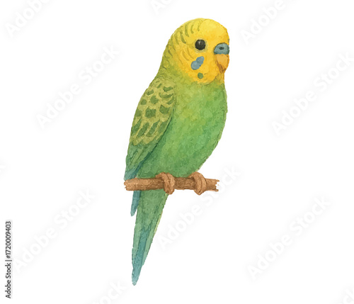 Adobe Illustrator Artwork