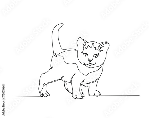 Cute cat outline illustration. Continuous line drawing of cute kitty.