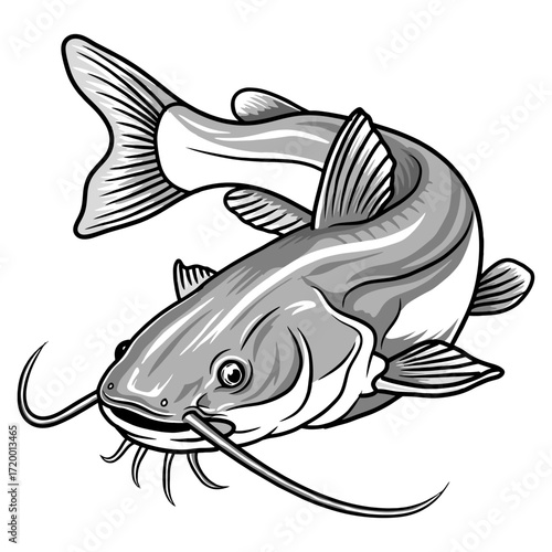catfish fishing illustration logo vector image t shirt