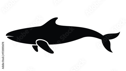 Simple black silhouette of a killer whale swimming in the ocean