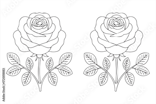 Rose flowers coloring page with blooming petals and leaves, romantic botanical line art illustration for kids activity, adult relaxation, printable floral design, and nature-inspired creative drawing 