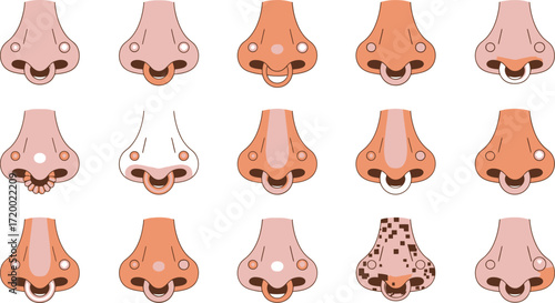 Collection of noses with different piercings and freckles