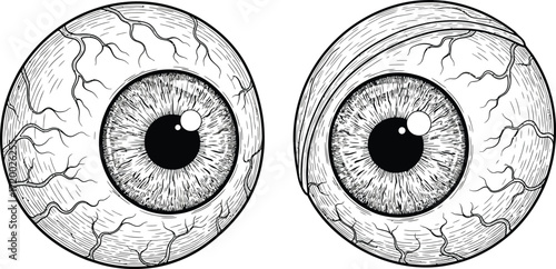 Detailed drawing shows a pair of spooky eyeballs staring out