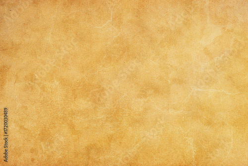 Vintage paper texture. High resolution grunge background.