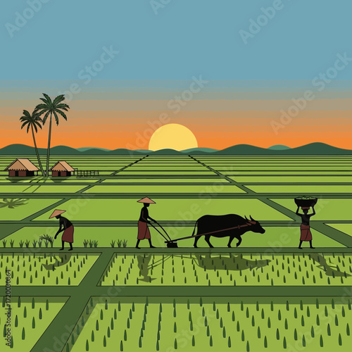 Experience the timeless beauty of rural Asia with farmers tending rice paddies at sunset, a serene glimpse into traditional agriculture and peaceful village life