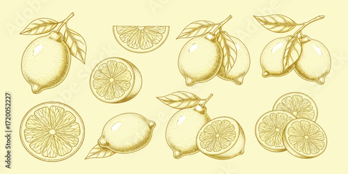 Golden Citrus Collection Hand-drawn Lemons, Slices, and Branches - Perfect for Design Projects