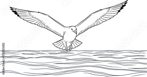 Flying seagull over blue water, freedom and sea concept design