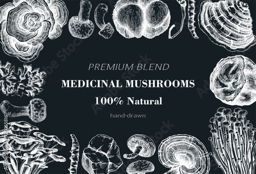 Medicinal mushroom background. Alternative medicine frame design. Hand drawn vector illustration. Healing fungi sketches. NOT AI generated