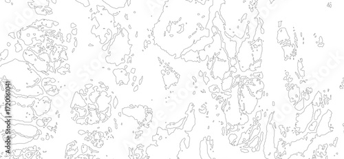 Abstract white background with intricate black line art featuring organic shapes and textures, creating a modern, minimalist pattern perfect for design and artistic projects