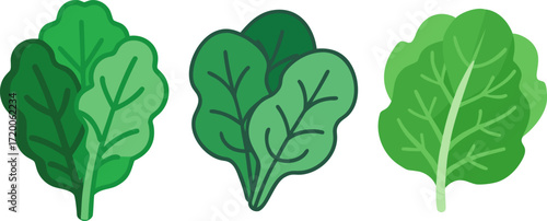 Fresh and Vibrant Green Leafy Vegetables, a Delightful Trio for Healthy Eating