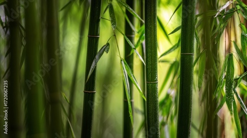 Wallpaper Mural green grass background Torontodigital.ca