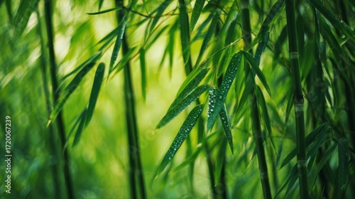 Wallpaper Mural green grass background Torontodigital.ca