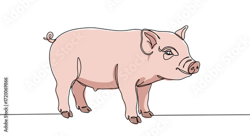 Cartoon pig standing happily on white background, vector illustration, copy space
