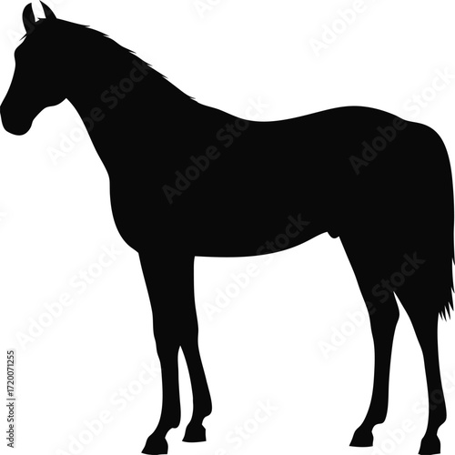 Black Silhouette of Terracotta Horse Side Profile, Traditional Folk Sculpture Vector, Minimal Rustic Figurine Illustration, Isolated Design